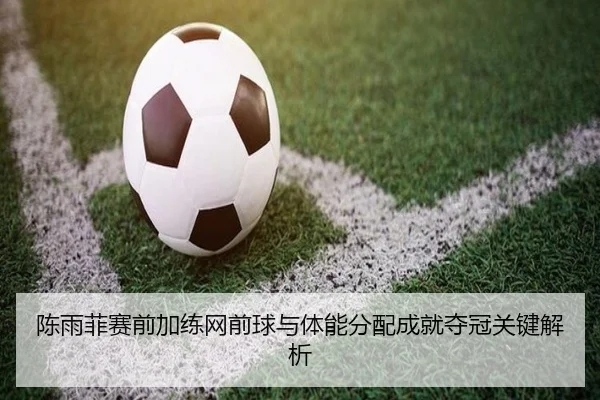 陈雨菲赛前加练网前球与体能分配成就夺冠关键解析